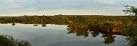 250616_G9_1000505-8 Panorama Medium